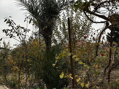 4 otaqlı həyət evi, 160 m², Hövsan: 120 000 ₼ 4