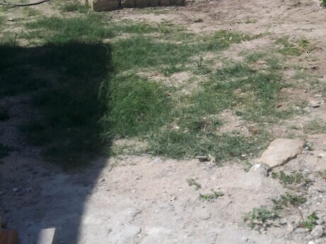 3 otaqlı həyət evi, 58 m², Pirşağı: 37 149 ₼ 4