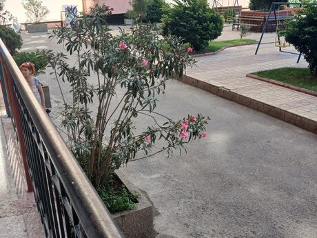 2 otaqlı mənzil, 79 m², 8 Noyabr: 255 000 ₼ 3