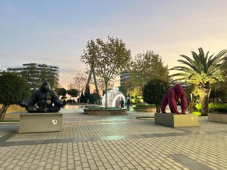 5 otaqlı mənzil, 206 m², Ağ şəhər: 1 020 000 ₼ 4