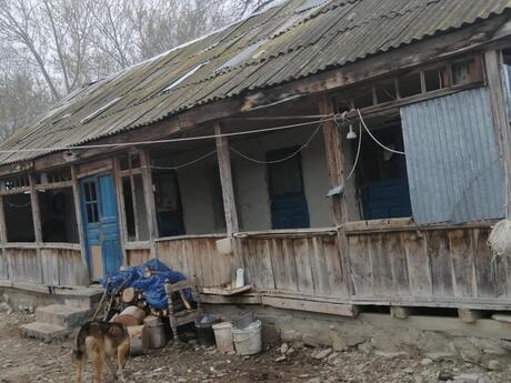 Объявление №6471522 - Шемаха, Шемаха, 742.1 м²