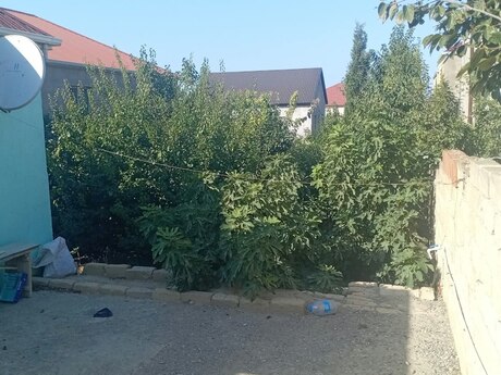 2 otaqlı həyət evi, 35 m², Masazır: 66 000 ₼ 4