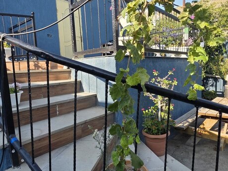 5 otaqlı həyət evi, 148 m², Yeni Suraxanı: 180 000 ₼ 2