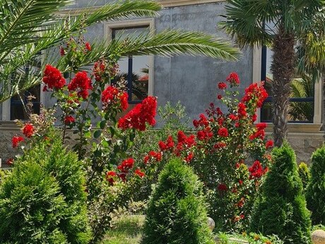 7 otaqlı həyət evi, 390 m², Binəqədi: 420 000 ₼ 5