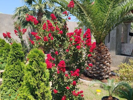7 otaqlı həyət evi, 390 m², Binəqədi: 420 000 ₼ 4