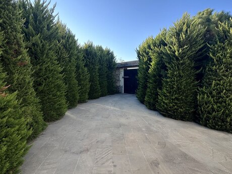 4 otaqlı həyət evi, 220 m², Mərdəkan: 550 000 ₼ 2