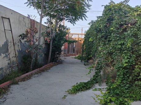 3 otaqlı həyət evi, 84 m², Binəqədi: 77 000 ₼ 3