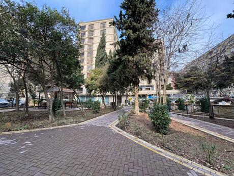 Объявление №6472927 - Баку, м. Ахмедлы, 4-комн., 219 м², 8/11 этаж