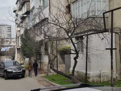 1-room apartment for rent, 33 m², İnşaatçılar: 550 ₼/mo 3