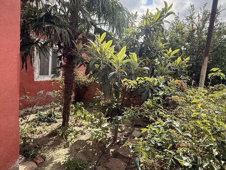 2 otaqlı həyət evi, 40 m², Məmmədli: 75 000 ₼ 2