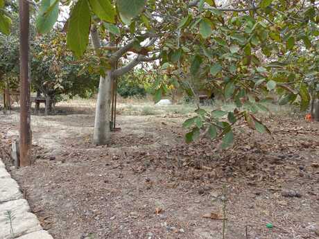 3 otaqlı həyət evi, 150 m², Saray: 100 000 ₼ 3