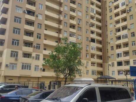 Elan №6473965 - Sumqayıt, Sumqayıt, 3 otaqlı, 85 m², 15/19 mərtəbə