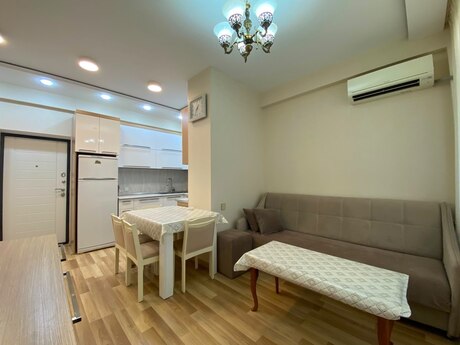 Elan №6474518 - Bakı, Şah İsmayıl Xətai m., 2 otaqlı, 50 m², 11/16 mərtəbə