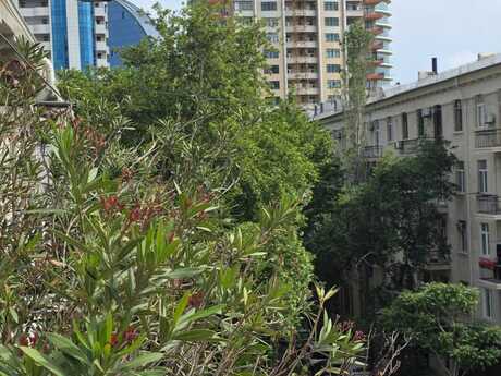 Elan №6474593 - Bakı, 28 May m., 2 otaqlı, 60 m², 5/5 mərtəbə