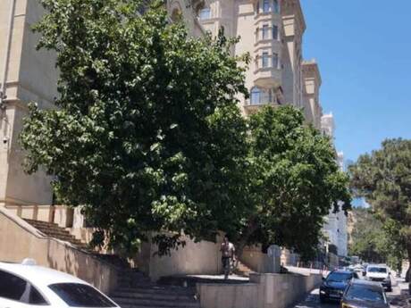 2 otaqlı mənzil, 50 m², Bayıl: 149 000 ₼ 2