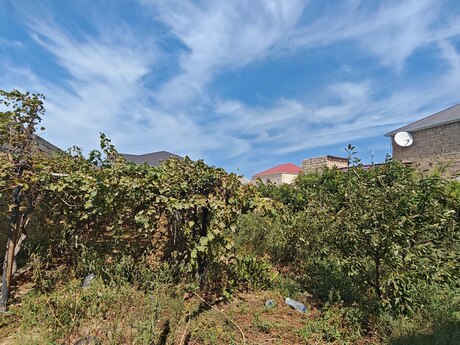 3 otaqlı həyət evi, 1 000 m², Binə: 37 000 ₼ 5