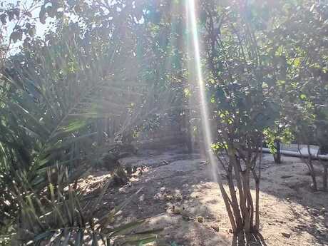 4 otaqlı həyət evi, 110 m², Biləcəri: 125 000 ₼ 4