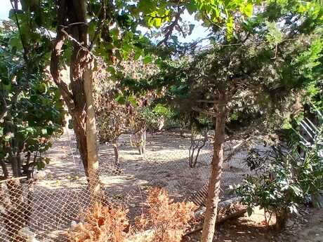 4 otaqlı həyət evi, 110 m², Biləcəri: 125 000 ₼ 3