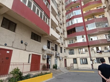 2 Dərnəgül