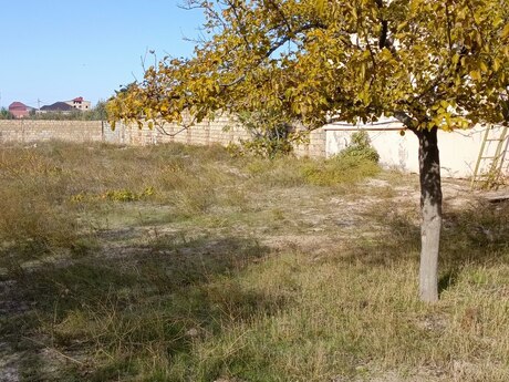 8 otaqlı həyət evi, 189 m², Novxanı: 150 000 ₼ 3