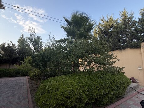 5 otaqlı həyət evi, 165 m², Buzovna: 256 000 ₼ 4
