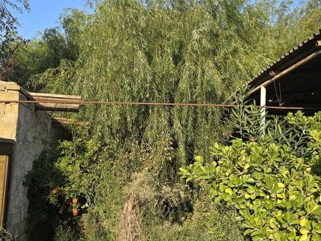 4 otaqlı həyət evi, 160 m², Mərdəkan: 220 000 ₼ 4