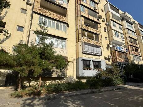 3 Şah İsmayıl Xətai