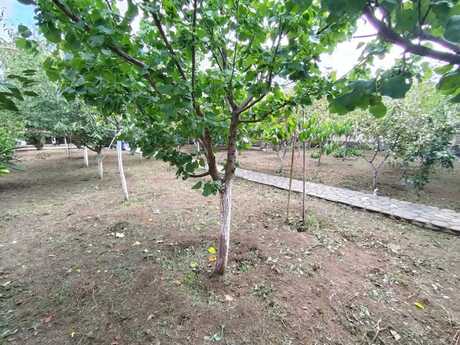 6 otaqlı həyət evi, 202 m², Mərdəkan: 365 000 ₼ 5