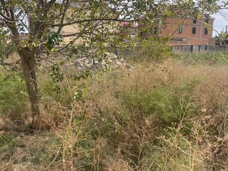 6 otaqlı həyət evi, 280 m², Novxanı: 138 000 ₼ 4
