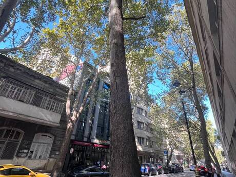 3 otaqlı mənzil, 125 m², Nəsimi: 275 000 ₼ 5