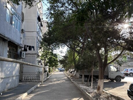 2-room apartment for rent, 50 m², Binə: 350 ₼/mo 4