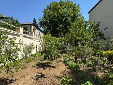 9 otaqlı həyət evi, 600 m², Azadlıq Prospekti: 1 400 000 ₼ 4