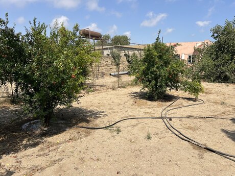6 otaqlı həyət evi, 250 m², Türkan: 175 000 ₼ 5