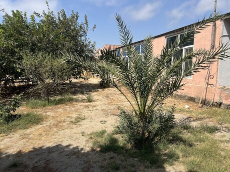 6 otaqlı həyət evi, 250 m², Türkan: 175 000 ₼ 2