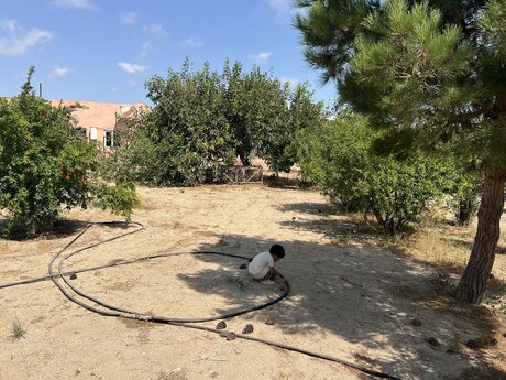 6 otaqlı həyət evi, 250 m², Türkan: 175 000 ₼ 4