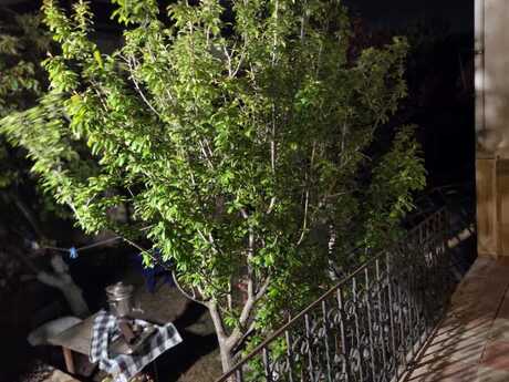 5 otaqlı həyət evi, 145 m², Mehdiabad: 229 900 ₼ 3