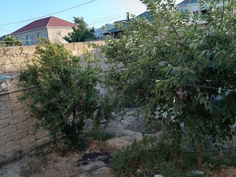 4 otaqlı həyət evi, 110 m², Binə: 75 000 ₼ 2