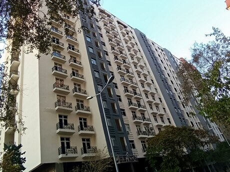 1 otaq · 54,8 m²