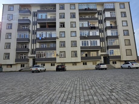 2 otaq · 56 m²