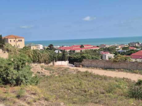 Elan №6478654 - Bakı, Buzovna q., 42 sot