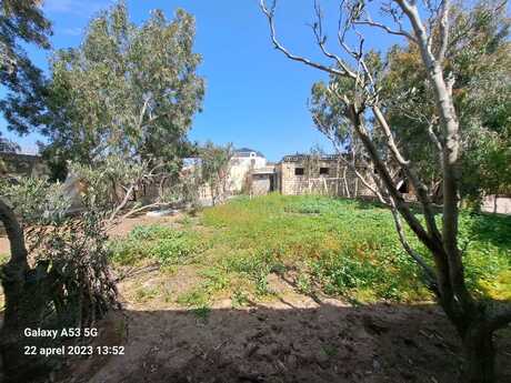 3 otaqlı həyət evi, 150 m², Buzovna: 450 000 ₼ 3