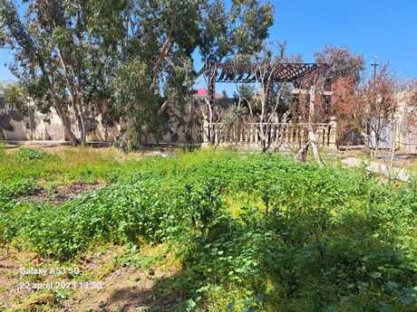 3 otaqlı həyət evi, 150 m², Buzovna: 450 000 ₼ 2