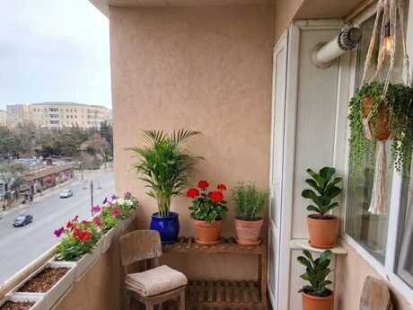 1-комнатная квартира, 50 м², Gənclik: 165 000 ₼ 4