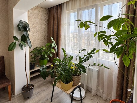 3-room apartment, 87 m², Bakıxanov: 205 000 ₼ 4