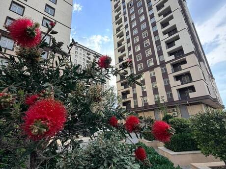 Elan №6479253 - Xırdalan, Xırdalan, 3 otaqlı, 78.3 m², 14/16 mərtəbə