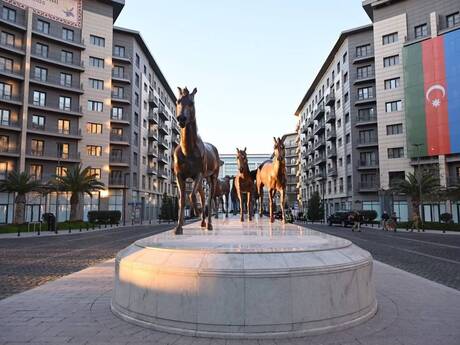 4-комнатная квартира, 150 м², Ağ şəhər: 750 000 ₼ 2
