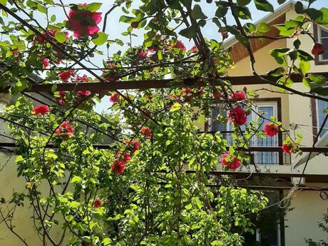 Elan №6479630 - Bakı, Əhmədli m., 3 otaqlı, 90 m²