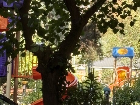 2-room apartment for rent, 50 m², Memar Əcəmi: 500 ₼/mo 3