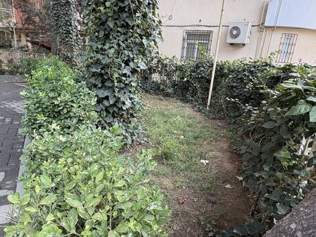 2 rooms · 50 m² · floor 5/5, Memar Əcəmi