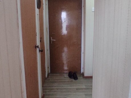 2-room apartment for rent, 55 m², Azadlıq Prospekti: 500 ₼/mo 2